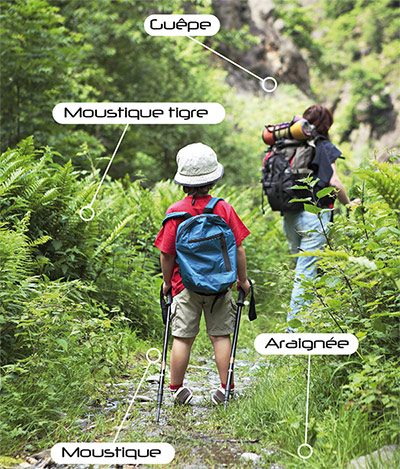 Mini pompe ASPIVENIN®