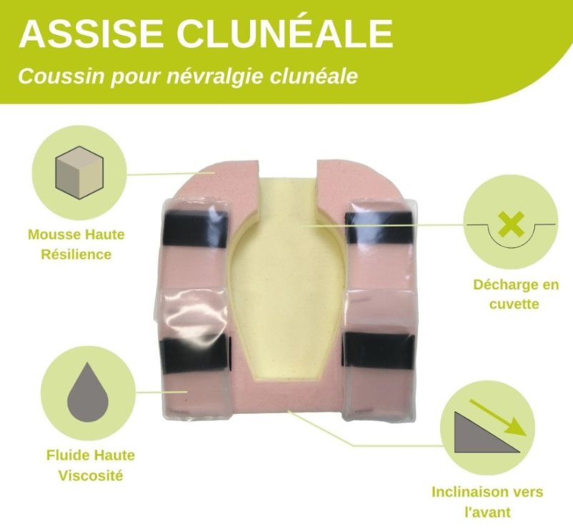 Coussin - ASSISE CLUNEALE