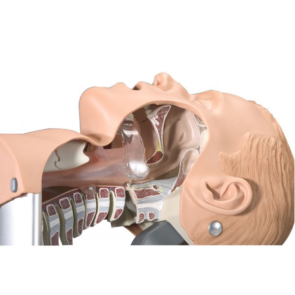 Simulateur d'intubation - LAERDAL
