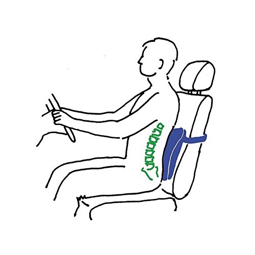 Coussin de soutien lombaire SISSEL® BACK