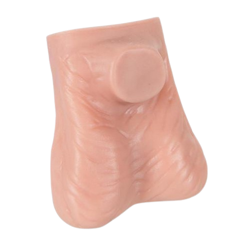 Modèle de palpation testiculaire en latex