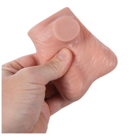 Modèle de palpation testiculaire en latex