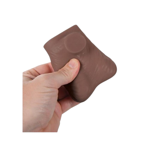 Modèle de palpation testiculaire en latex