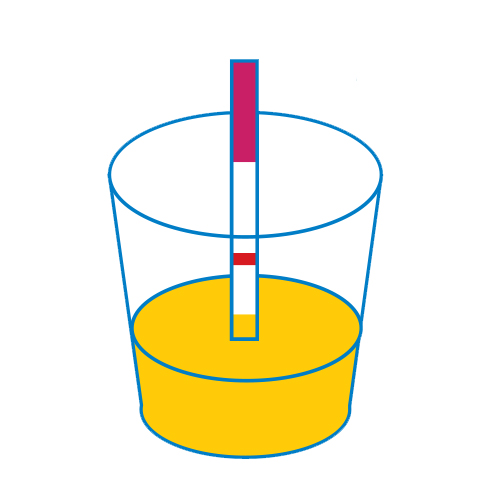 Test urinaire cannabis Drug-screen® THC 300- NAL VON MINDEN