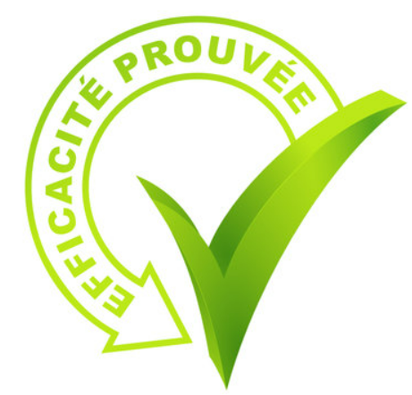 Spray environnement Parasidose poux et punaises de lit