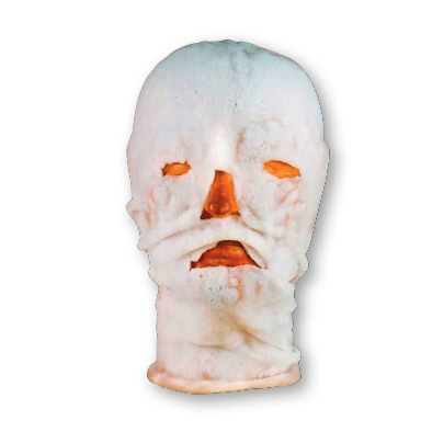 Masque facial BURNSHIELD®