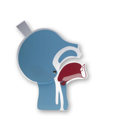 Maquette en tête de coupe articulée - AMBU®