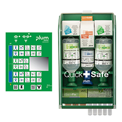 Station murale QUICKSAFE complète PLUM