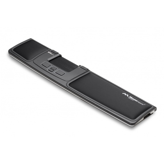 Souris centrale Mousetrapper Advance 2.0