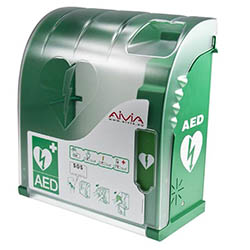 Armoire extérieure AIVIA 200W