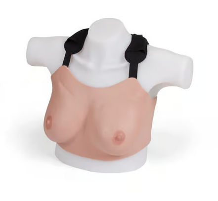 Torse d'apprentissage de l'examen du sein