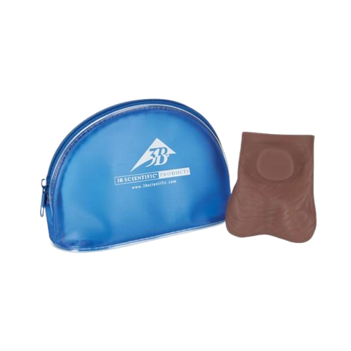 Modèle de palpation testiculaire en latex