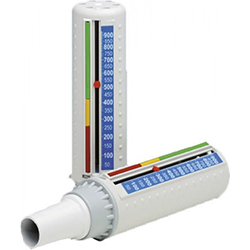 Debitmètre de pointe peak flow Pinnacle